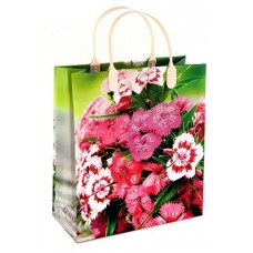 Сумка пластиковая Grand Gift, 23х25х10 см (kastd) в магазинах Ашан