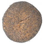 Кайзерка АШАН пшеничная с маком, 50 г (kastd)
