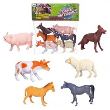 Набор игровой Abtoys Юный натуралист Фигурки домашних животных, 6 шт (kastd) в магазинах Ашан