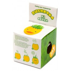 Набор для творчества серии Домашняя кухня Сделай сам Пшеничка из яичка (kastd) в магазинах Ашан