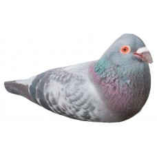 Игрушка мягкая KiddieArt Tallula Голубь (kastd) в магазинах Ашан