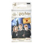 Игра настольная Hobby World Гарри Поттер Поиск пожирателей смерти (kastd)
