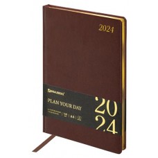 Ежедневник BRAUBERG Iguana датированный 2024 А4 под кожу, 168 л (kastd) в магазинах Ашан