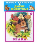 Набор карточек. Дикие животные, Цыганков. И (kastd)