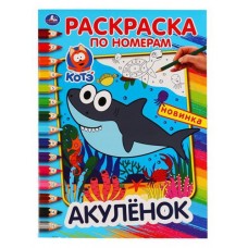 Раскраска по номерам. Котэ. Акулёнок, (kastd) в магазинах Ашан