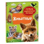 Первая энциклопедия малыша (kastd)