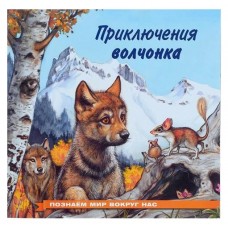 Приключения волчонка (kastd) в магазинах Ашан