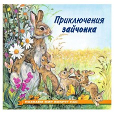 Приключения зайчонка (kastd) в магазинах Ашан