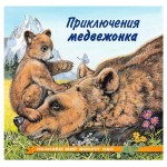 Приключения медвежонка (kastd) Приключения медвежонка (kastd)