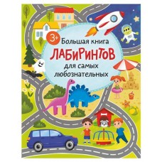 Большая книга лабиринтов для самых любознательных, Симакина А. (kastd) в магазинах Ашан