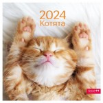 Календарь Сириус на 2024 год на скрепке Котята (kastd)