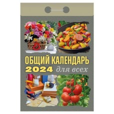Календарь настенный отрывной Общий на 2024 г, 77х114 мм (kastd) в магазинах Ашан