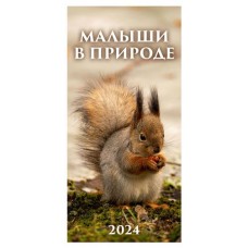 Календарь настенный перекидной Малыши в природе на гребне на 2024 г, 165х335 мм (kastd) в магазинах Ашан