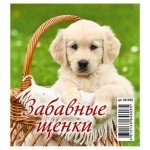 Календарь настольный перекидной Домик Забавные щенки на гребне на 2024 г, 100х140 мм (kastd)