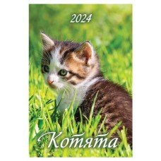 Календарь настенный перекидной Котята на гребне на 2024 г, 170х250 мм (kastd) в магазинах Ашан