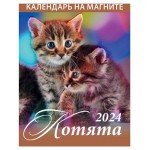 Календарь настенный отрывной Котята на магните на 2024 г, 96х135 мм (kastd)