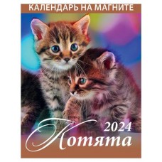 Календарь настенный отрывной Котята на магните на 2024 г, 96х135 мм (kastd) в магазинах Ашан