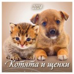Календарь настенный перекидной Котята и щенки на скрепке на 2024 г, 6 листов, 285х285 мм (kastd)