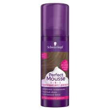 Тонирующий мусс 3-в-1 Perfect Mousse, Тёмно-русый, временное тонирование, 120 мл (kastd) в магазинах Ашан