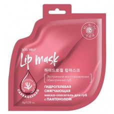 Маска-спасатель для губ Mi-Ri-Ne Гидрогелевая смягчающая с пантенолом, 16 г в магазинах Ашан