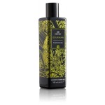 Крем-гель для душа XXI CENTURY Gourman Ė3 с феромонами, 250 мл (kastd)