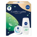 Подарочный набор NIVEA: Крем Soft 100 мл + Гель для душа Свежесть и забота 250 мл (kastd)