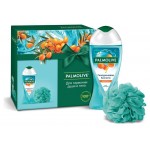 Подарочный набор Palmolive Гиалуроновая Кислота, Гель для душа Palmolive 250 мл+ Мочалка (kastd)