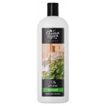 Гель для душа Особая серия Бодрящий березовый веничек, 490 мл (kastd)