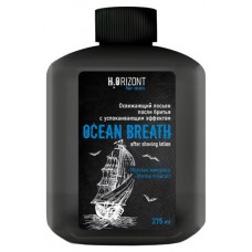 Лосьон после бритья Family Cosmetics H2orizont Ocean Breath освежающий, 275 мл (kastd) в магазинах Ашан