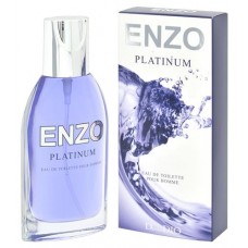 Туалетная вода мужская Dannie Dio Enzo Platinum, 95 мл (kastd) в магазинах Ашан