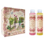 Подарочный набор Liss Kroully WN-2306 гель для душа + пена для ванн, 2х260 мл (kastd)