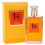 Туалетная вода женская Vinci Parfum de France Fiji Sun, 60 мл (kastd)