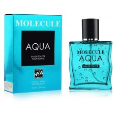Туалетная вода мужская Molecule Aqua, 100 мл (kastd) в магазинах Ашан