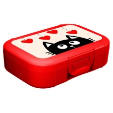 Ланч-бокс Idiland с декором, 850 мл (kastd) в магазинах Ашан