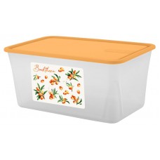 Контейнер для продуктов Sugar&Spice Honey прямоугольный Облепиха, 2,1 л (kastd) в магазинах Ашан