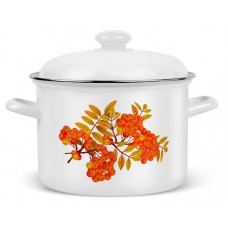 Кастрюля эмалированная Hitt Облепиха, 3 л (kastd) в магазинах Ашан