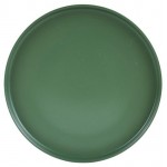 Тарелка обеденная МФК green, 27 см (kastd)