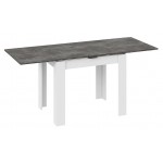 Стол раскладушка Техас темный-белый (kastd)