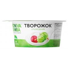 Творожок Эконива крыжовник 5% БЗМЖ, 125 г (kastd) в магазинах Ашан