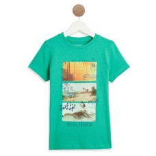 Футболка для мальчика InExtenso с коротким рукавом зеленая (kastd) в магазинах Ашан
