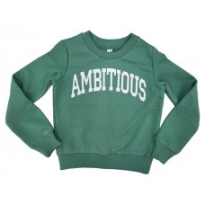 Толстовка для мальчика DYSOT зеленая (kastd) в магазинах Ашан