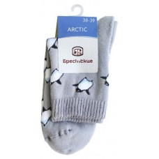 Носки женские Брестские Arctic 15С1408 серые, р. 25 (kastd) в магазинах Ашан