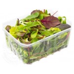 Смесь салатов Радичио и Корн, 125 г (kastd)