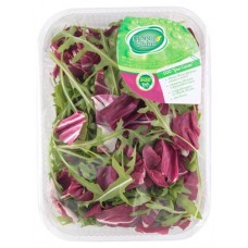 Салатная смесь фризе руккола радиччио, 75 г (kastd) в магазинах Ашан