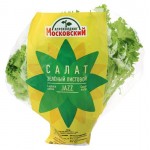 Салат Кудрявый Джаз в горшочке, 1 штука (kastd)