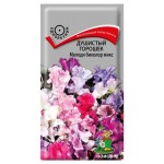 Семена Горошоек душистый Поиск Мелодии бекол микс, 1 г (kastd)