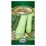 Семена Кабачок Поиск Искандер, 5 шт (kastd)