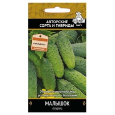 Семена Огурец Поиск Малышок, 15 шт (kastd) в магазинах Ашан