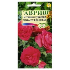 Семена Бегония Гавриш Гоу-гоу вишневая F1, 4 шт (kastd) в магазинах Ашан