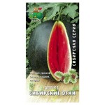 Семена Арбуз Поиск Сибирские огни, 15 шт (kastd)